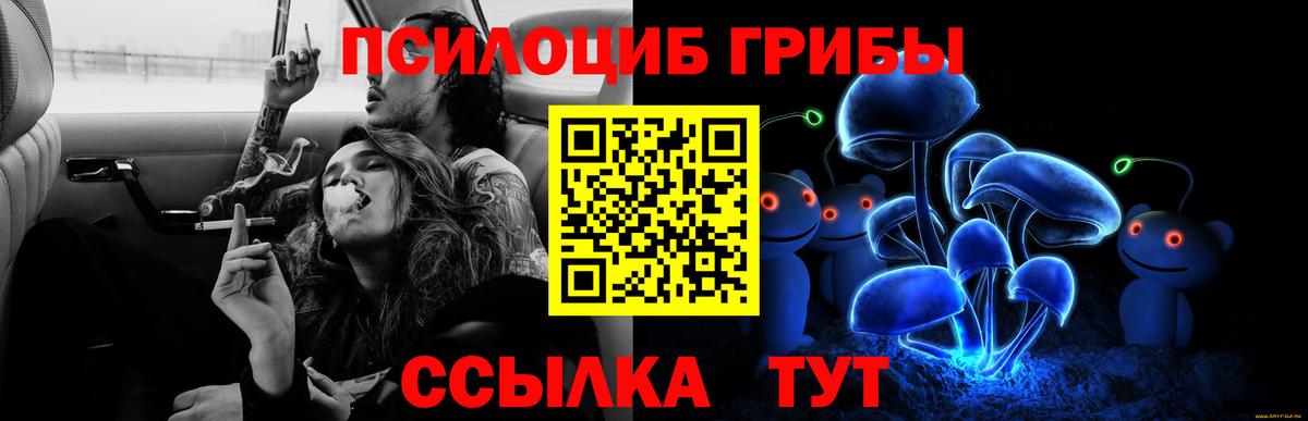 Галлюциногенные грибы мухоморы  Псилоцибиновые грибы Psilocybine cubensis  Октябрьский  Вход с VPN 